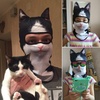 image:imageWTACTFUL 3D Animal Ears Balaclava Breathable Face Mask for Halloween British Bicolor Cat Meb18