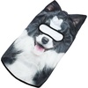 image:imageWTACTFUL 3D Animal Ears Balaclava Breathable Face Mask for HalloweenBorder Collie Meb23