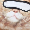 image:imageWTACTFUL 3D Animal Ears Balaclava Breathable Face Mask for HalloweenExotic Shorthair Meb25