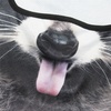 image:imageWTACTFUL 3D Animal Ears Balaclava Breathable Face Mask for HalloweenRacoon Meb17