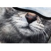 image:imageWTACTFUL 3D Animal Ears Balaclava Breathable Face Mask for HalloweenSilver Tabby American Shorthair Meb21