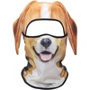 Beagle Funny Mss-05