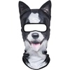 Border Collie Meb-23