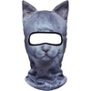 British Shorthair Meb-06