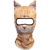 Cat Meb-19