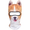 Corgi Meb-13
