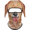 Golden Retriever Mss-01