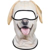 Labrador Retriever Mss-04