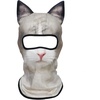 Ragdoll Cat Meb-37