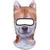 Shiba Inu Meb-03