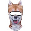 Shiba Inu Meb-04