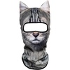 Silver Tabby American Shorthair Meb-21